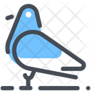 پیش‌نمایش فایل pigeon-1672209 از پک تابستان