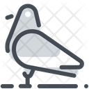 پیش‌نمایش فایل pigeon-1672040 از پک تابستان