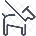 پیش‌نمایش فایل dog-leash-2983016 از پک فرودگاه