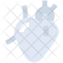 پیش‌نمایش فایل heart-4386840 از پک پزشکی