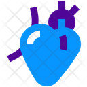 پیش‌نمایش فایل heart-4386709 از پک پزشکی
