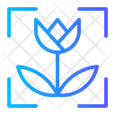 پیش‌نمایش فایل macro-7096533 از پک عکاسی