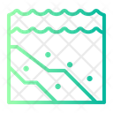 پیش‌نمایش فایل sea-floor-9134440 از پک روز جهانی اقیانوس‌ها