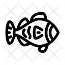 پیش‌نمایش فایل clown-fish-5666769 از پک زندگی دریایی