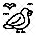 پیش‌نمایش فایل seagull-5666794 از پک زندگی دریایی