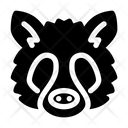 پیش‌نمایش فایل raccoon-7864085 از پک حیوانات