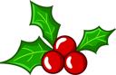 پیش‌نمایش فایل holly-leaves-7135463 از پک عنصر کریسمس
