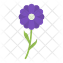 پیش‌نمایش فایل flower-1552194 از پک وسایل مدرسه