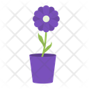 پیش‌نمایش فایل flower-pot-1552147 از پک وسایل مدرسه
