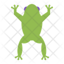 پیش‌نمایش فایل frog-1552216 از پک وسایل مدرسه