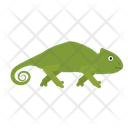 پیش‌نمایش فایل chameleon-1591309 از پک حیوانات آفریقایی