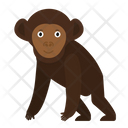 پیش‌نمایش فایل chimpanzee-1591305 از پک حیوانات آفریقایی