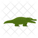 پیش‌نمایش فایل crocodile-1591300 از پک حیوانات آفریقایی