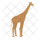 پیش‌نمایش فایل giraffe-1591310 از پک حیوانات آفریقایی