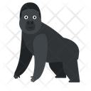پیش‌نمایش فایل gorilla-1591296 از پک حیوانات آفریقایی
