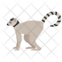 پیش‌نمایش فایل lemur-1591312 از پک حیوانات آفریقایی