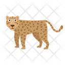 پیش‌نمایش فایل leopard-1591304 از پک حیوانات آفریقایی