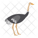 پیش‌نمایش فایل ostrich-1591308 از پک حیوانات آفریقایی