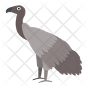 پیش‌نمایش فایل african-vulture-1596632 از پک حیوانات آفریقایی