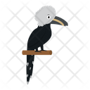 پیش‌نمایش فایل african-white-crested-hornbill-1596636 از پک حیوانات آفریقایی