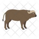 پیش‌نمایش فایل buffalo-1596633 از پک حیوانات آفریقایی