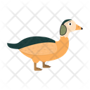 پیش‌نمایش فایل dwarf-goose-1596626 از پک حیوانات آفریقایی