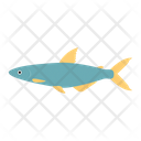 پیش‌نمایش فایل fish-alestes-1596621 از پک حیوانات آفریقایی