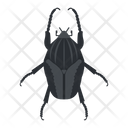 پیش‌نمایش فایل goliath-beetle-1596627 از پک حیوانات آفریقایی