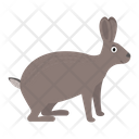 پیش‌نمایش فایل hare-1596634 از پک حیوانات آفریقایی