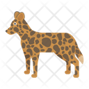 پیش‌نمایش فایل hyenoid-dog-1596623 از پک حیوانات آفریقایی
