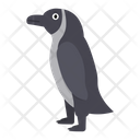 پیش‌نمایش فایل penguin-1596622 از پک حیوانات آفریقایی