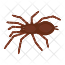 پیش‌نمایش فایل spider-baboon-1596637 از پک حیوانات آفریقایی