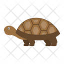 پیش‌نمایش فایل spurred-tortoise-1596620 از پک حیوانات آفریقایی