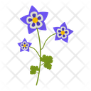 پیش‌نمایش فایل aquilegia-1617782 از پک پهول جنگلی