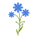 پیش‌نمایش فایل chicory-1617779 از پک پهول جنگلی