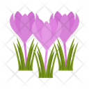 پیش‌نمایش فایل crocus-1617788 از پک پهول جنگلی
