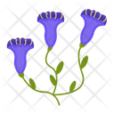 پیش‌نمایش فایل gentian-1617794 از پک پهول جنگلی