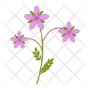 پیش‌نمایش فایل stork-flower-1617790 از پک پهول جنگلی