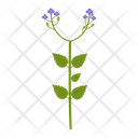 پیش‌نمایش فایل wildflowers-1617786 از پک پهول جنگلی