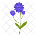 پیش‌نمایش فایل wildflowers-1617787 از پک پهول جنگلی