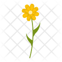 پیش‌نمایش فایل wildflowers-1617789 از پک پهول جنگلی