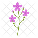 پیش‌نمایش فایل wildflowers-1617792 از پک پهول جنگلی
