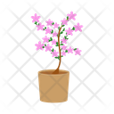 پیش‌نمایش فایل flower-pot-1654854 از پک گیاهان خانگی