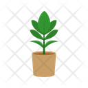 پیش‌نمایش فایل plant-1654844 از پک گیاهان خانگی