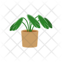 پیش‌نمایش فایل plant-1654849 از پک گیاهان خانگی