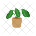 پیش‌نمایش فایل plant-1654850 از پک گیاهان خانگی