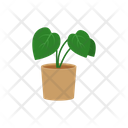 پیش‌نمایش فایل potted-plant-1654845 از پک گیاهان خانگی