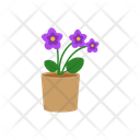 پیش‌نمایش فایل potted-plant-1654846 از پک گیاهان خانگی