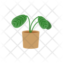 پیش‌نمایش فایل potted-plant-1654848 از پک گیاهان خانگی