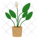 پیش‌نمایش فایل potted-plant-1654851 از پک گیاهان خانگی